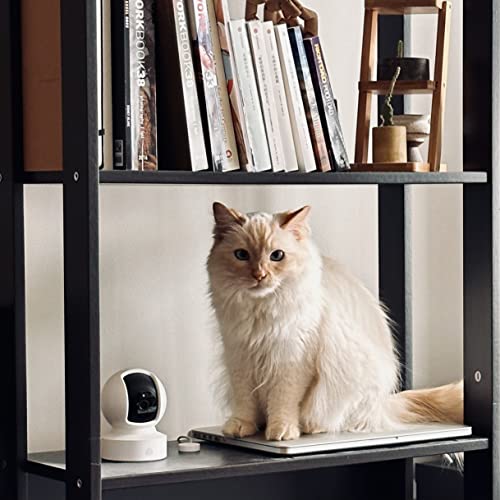 Kasa Pet Camera Review