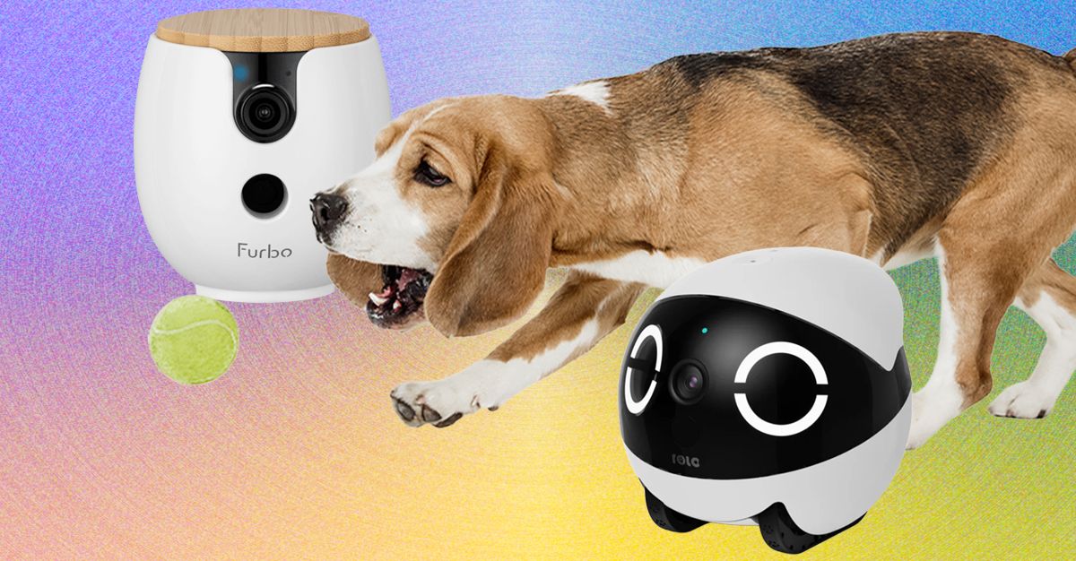 What Is The Best Pet Robot Camera
